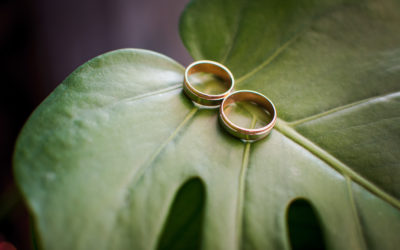 Pair of gold wedding rings on the green leaf