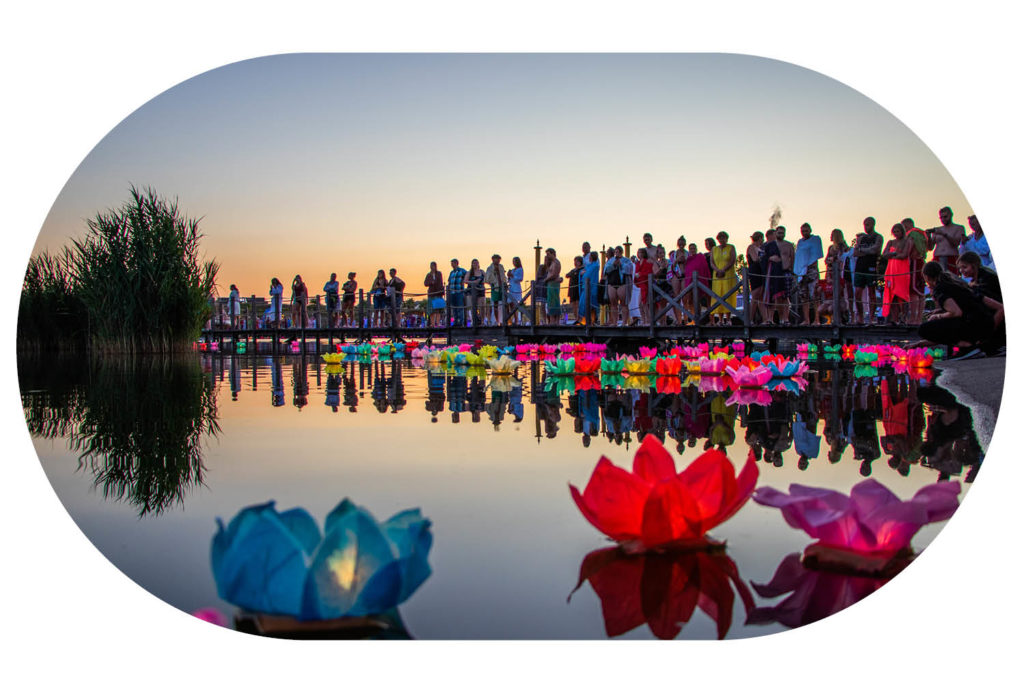 Leuchtende Lotusblüten auf dem Thermensee der Thermen & Badewelt Sinsheim