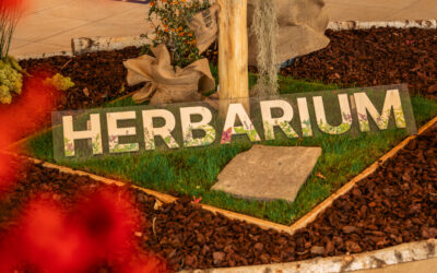 herbsnh1